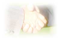 Website design services for medium to large business, e-Tailers & large craft sites