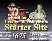 Get your own fully e-commerce enabled website up for only $675!